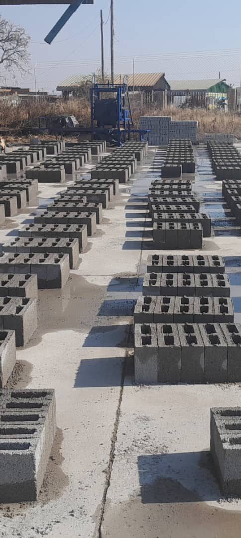 Rows of blocks drying in the yard